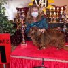 Int. Dog-Show-Winner & Grand National-Champion 2021